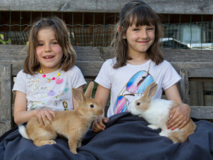Christlrumerhof Tiere Hasen